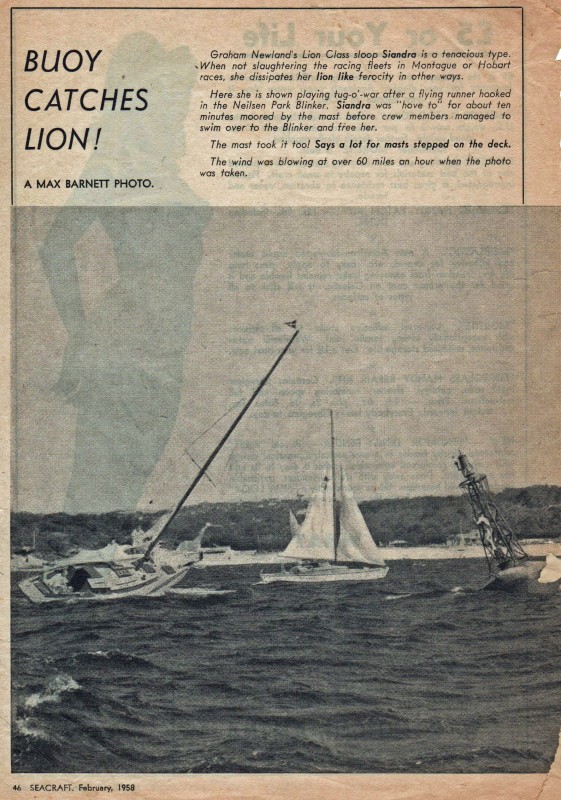 Buoy Catches Lion Siandra 1958