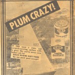 Plum Crazy - Add for Dulux Marine