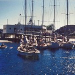 Middle Harbour Yacht Club in Dec 1954